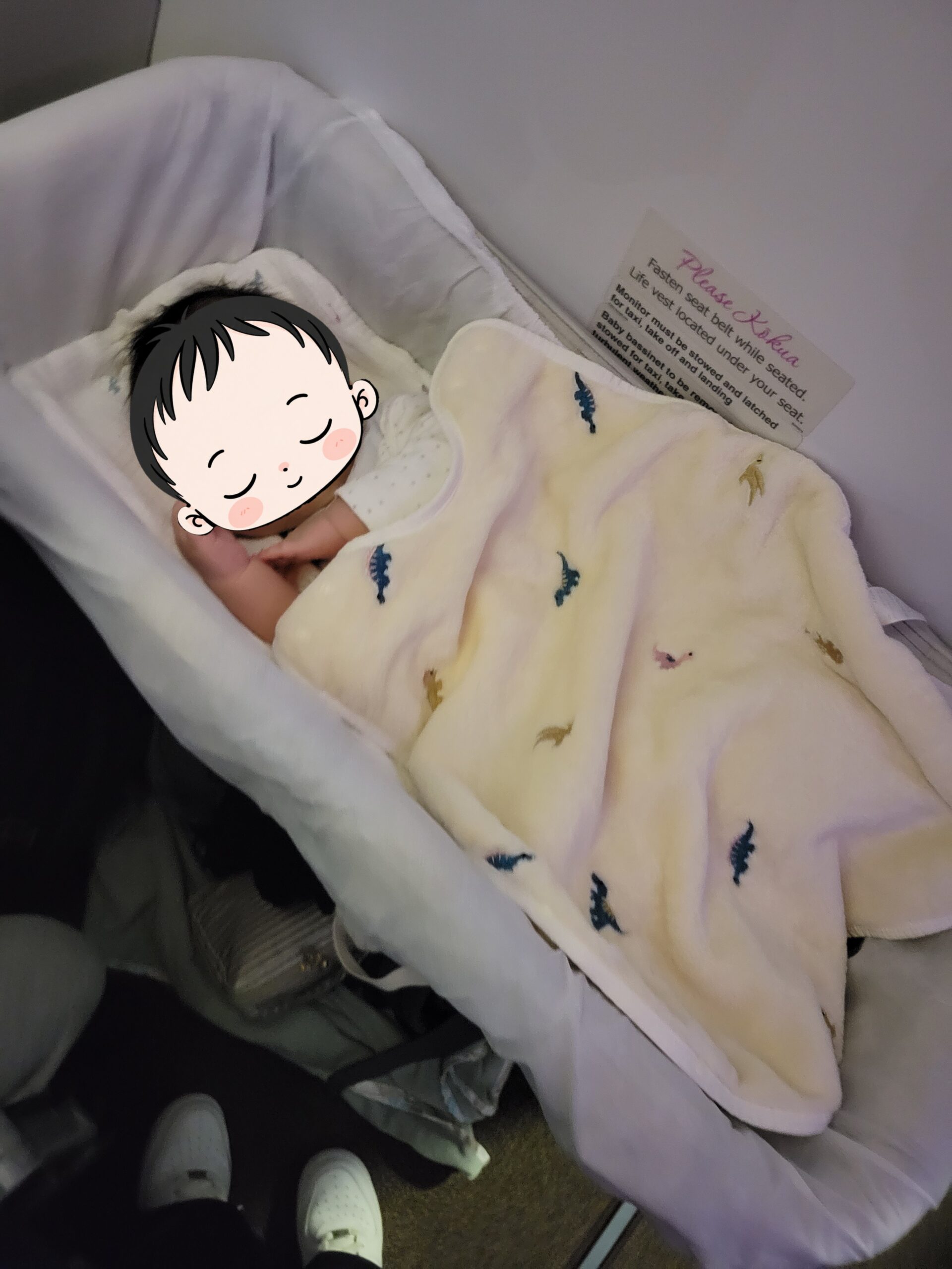 ハワイアン航空のバシネットで眠る生後6か月の赤ちゃん