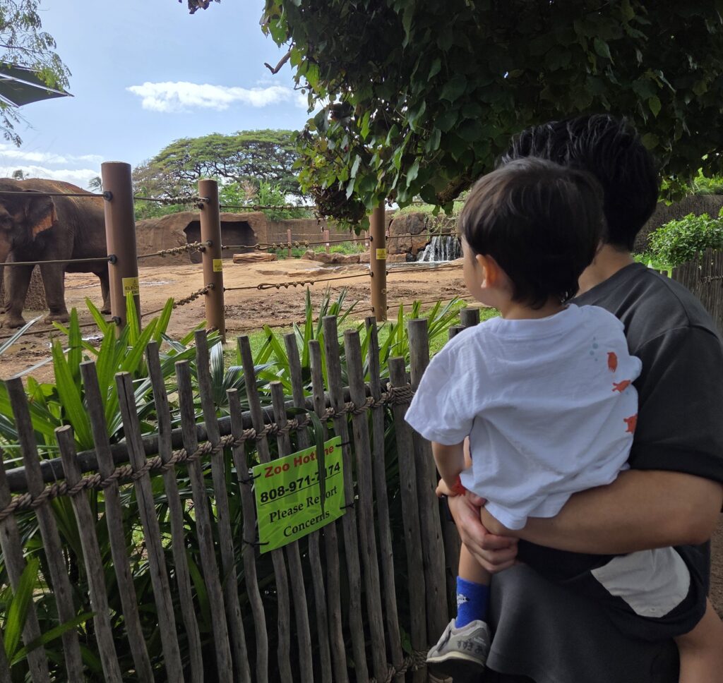 0歳と2歳を連れて訪れたホノルル動物園