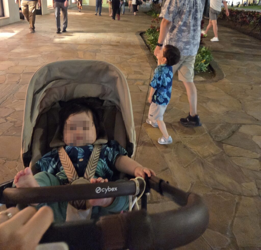 ガゼルSに乗る0歳児と、ベビーカーを降りて歩く2歳児